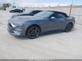 Ford Mustang 1FATP8UH5P5104235 снимка