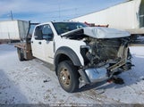 Ford F 550 1FD0W5HT5MED15732 снимка