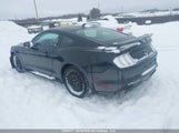 Ford Mustang Ecoboost Premium 1FA6P8TH9N5114830 снимка