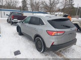 Ford Escape 1FMCU0G68MUA60257 снимка