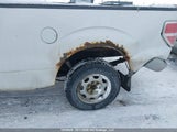 Ford F-150 1FTVX1EV7AKE11901 fotografie