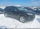 Toyota Rav4 Xle/Xse 2T3RWRFV1LW052931 photo