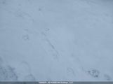 Honda Civic Lx 2HGFB2E47DH011821 снимка