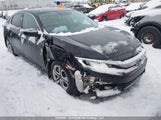 Honda Civic Lx 2HGFC2F67HH034583 снимка