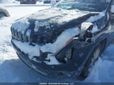 Jeep Cherokee Limited 1C4PJMDB2EW159850 снимка