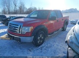 Ford F150 Supercrew 1FTEW1E81AFD44430 снимка