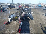Polaris SN1CG8GSXFC523870 снимка