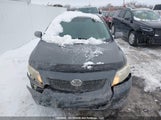 Toyota Corolla Le 2T1BU4EE4AC309275 снимка