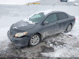 Toyota Corolla Le 2T1BU4EE4AC309275 снимка