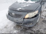 Toyota Corolla Le 2T1BU4EE4AC309275 снимка