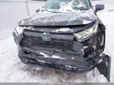 Toyota Rav4 Xle/Xse 2T3RWRFV1KW003629 fotografie