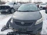 Toyota Corolla S/Le/Xle 2T1BU4EE4AC361165 снимка