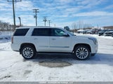 Cadillac Escalade Luxury 1GYS4BKJXLR163621 снимка