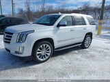 Cadillac Escalade Luxury 1GYS4BKJXLR163621 снимка