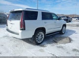 Cadillac Escalade Luxury 1GYS4BKJXLR163621 снимка