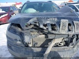 Jeep Cherokee Trailhawk 1C4PJMBX5MD191023 снимка