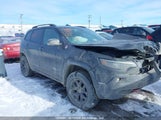 Jeep Cherokee Trailhawk 1C4PJMBX5MD191023 снимка
