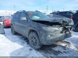 Jeep Cherokee Trailhawk 1C4PJMBX5MD191023 снимка