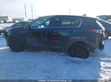 Kia Sportage Lx KNDPM3AC2H7168013 снимка