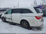Honda Odyssey 5FNRL5H49BB504263 fotografie