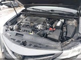 Toyota Camry 4T1J11AK2LU883972 снимка