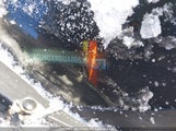 Ford Escape Se 1FMCU9GX8GUA86519 снимка