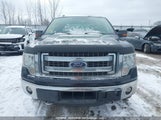 Ford F-150 Xlt 1FTFW1ET5EFB65225 снимка