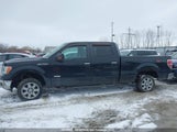 Ford F-150 Xlt 1FTFW1ET5EFB65225 снимка