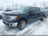 Ford F-150 Xlt 1FTFW1ET5EFB65225 снимка