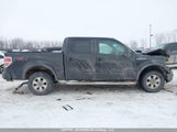Ford F150 Supercrew 1FTFW1EV7AFB73144 снимка