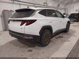 Hyundai Tucson Sel KM8JBCAE6NU092530 снимка