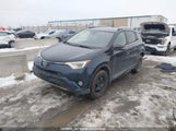 Toyota Rav4 Xle 2T3RFREV9HW614454 снимка