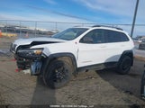 Jeep Cherokee Trailhawk 1C4PJMBX0LD531497 снимка