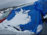 Chevrolet Equinox Ls 2GNFLEEKXG6306138 снимка