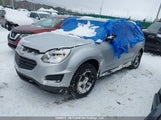 Chevrolet Equinox Ls 2GNFLEEKXG6306138 снимка