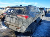 Toyota Rav4 Xle 2T3R1RFV6SW623004 снимка