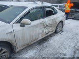 Toyota Camry 4T1B31HK1KU512918 fotografie