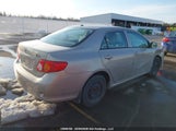 Toyota Corolla Ce 2T1BU40E79C045021 снимка