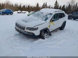 Jeep Cherokee Trailhawk Elite 1C4PJMBX0ND528067 снимка