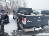 Ford F-150 Fx4/King Ranch/Lariat/Platinum Package/Xlt 1FTPW14V29KC86556 fotografie