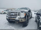 Ford F-150 Fx4/King Ranch/Lariat/Platinum Package/Xlt 1FTPW14V29KC86556 снимка
