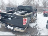 Ford F-150 Fx4/King Ranch/Lariat/Platinum Package/Xlt 1FTPW14V29KC86556 fotografie