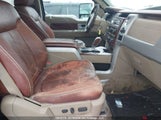Ford F-150 Fx4/King Ranch/Lariat/Platinum Package/Xlt 1FTPW14V29KC86556 fotografie