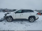 Toyota Rav4 Xle 2T3R1RFV1RC421957 снимка