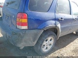Ford Escape Xlt 1FMYU931X5KC42365 снимка