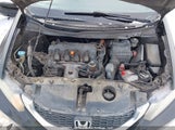 Honda Civic 2HGFB2F41DH100265 fotografie