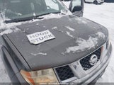 Nissan Frontier 1N6AD07WX6C405435 снимка
