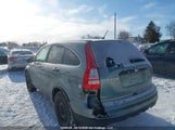 Honda Cr-V 5J6RE3H37AL800085 снимка