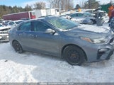 Kia Forte Ex/Ex Limited/Ex Premium/Ex+ 3KPF54AD5KE118639 fotografie