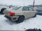 Toyota Corolla Le 2T1BU4EE1AC213071 снимка